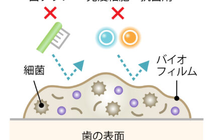 バイオフィルム